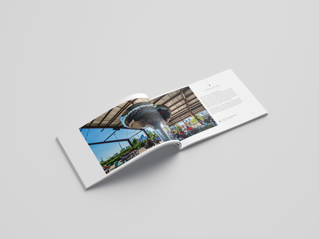 GPSI_Landscape_OpenFaced_Brochure_ConsultingPage_Mockup_RevA_V1_07_26_22